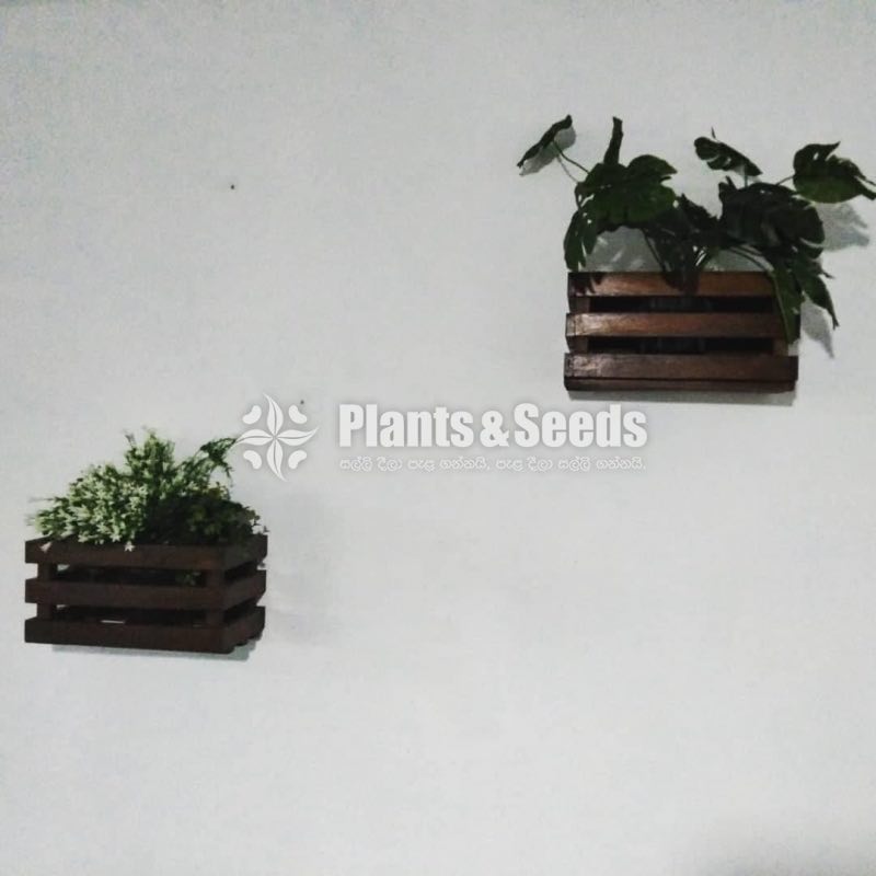 Wooden Wall Planter