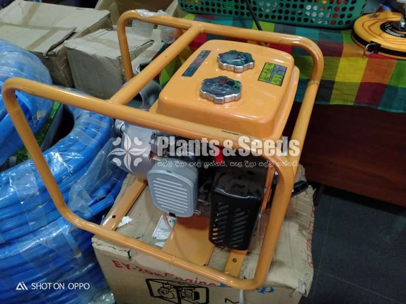 Sprinkler System