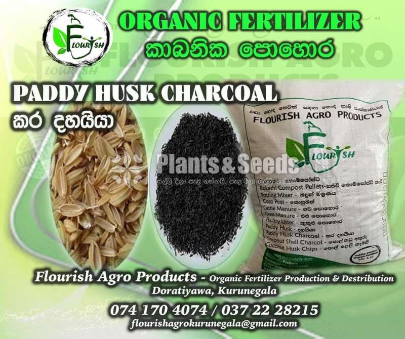 Kara Dhayya(Paddy Husk Charcoal)