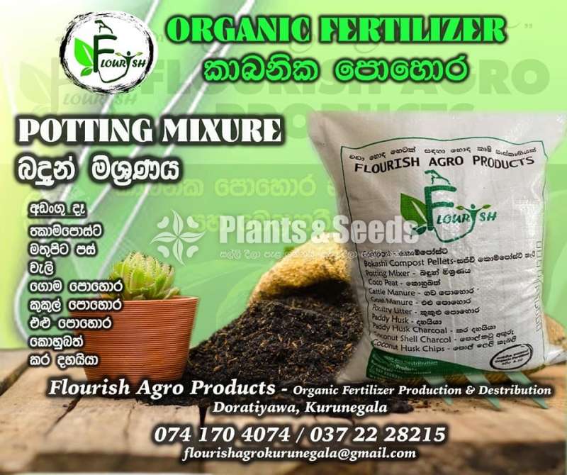 Potting Mix (බදුන් පිරවුම )