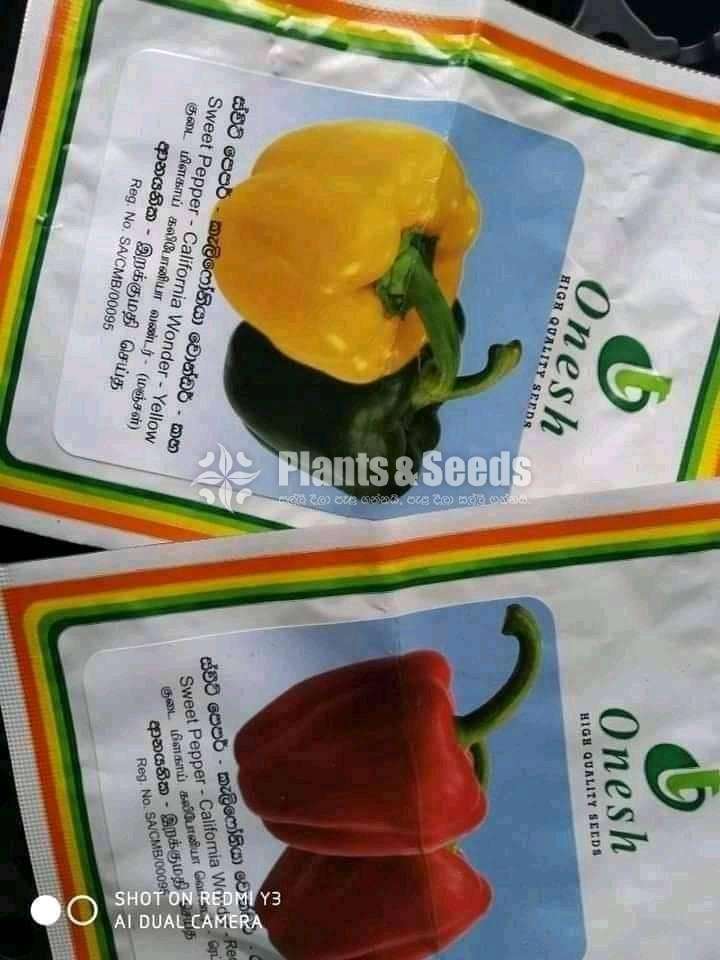 Bell pepper Seeds