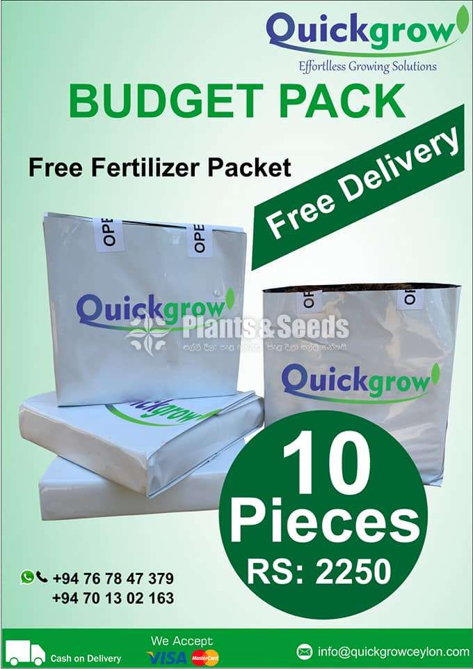 Coco Peat open Top bag