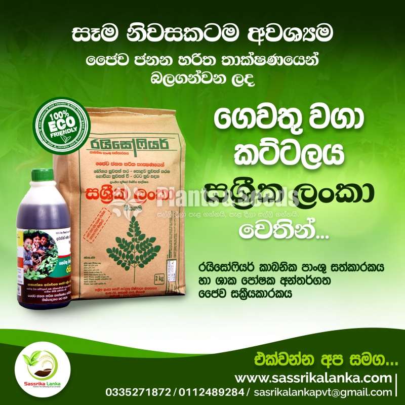 Certified organic gardening pack