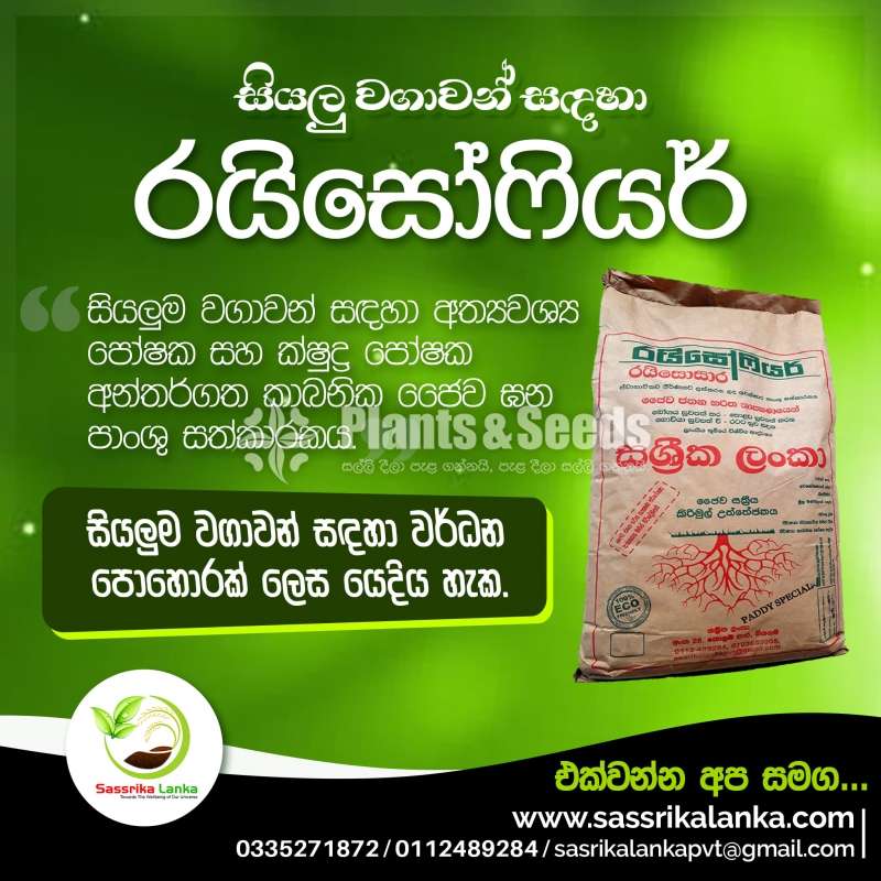 RHIZOSARA PADDY SPECIAL