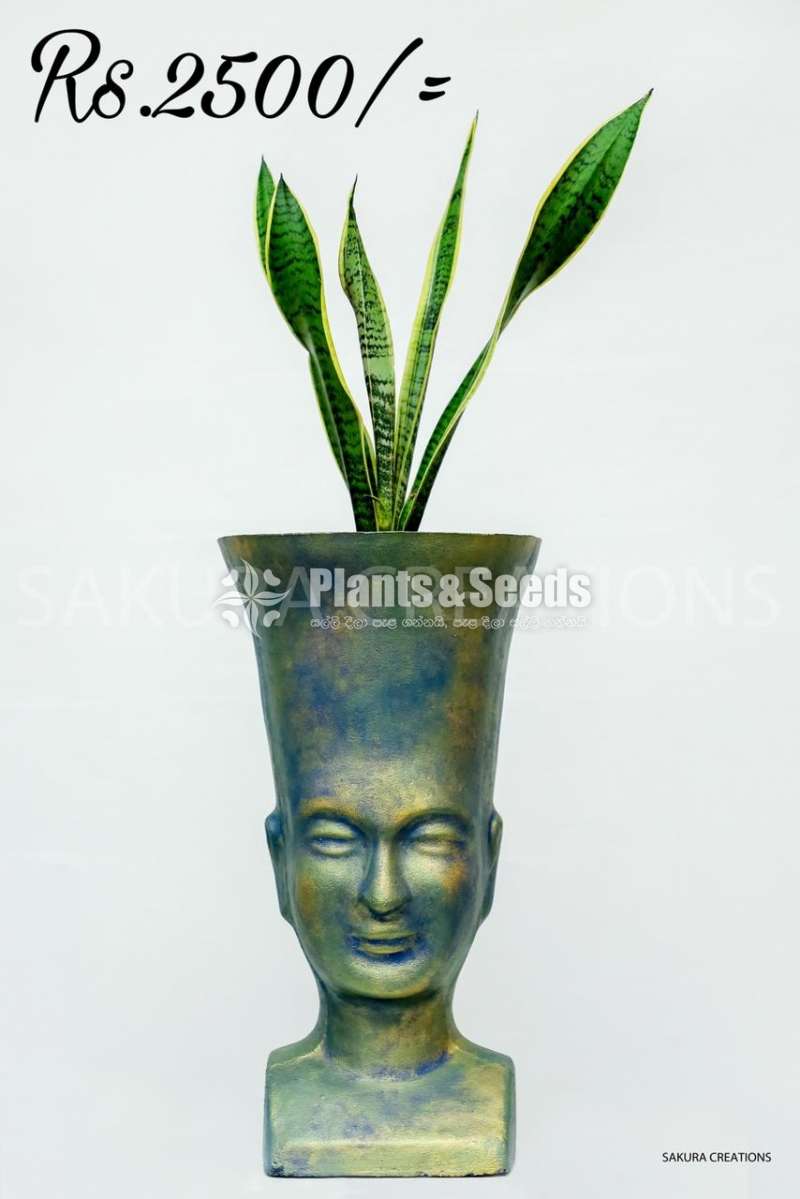 Hand painted indoor pots