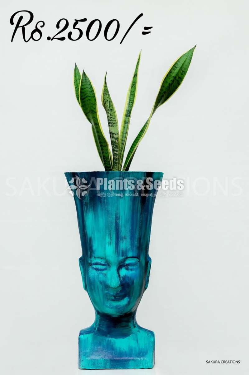 Hand painted indoor pots