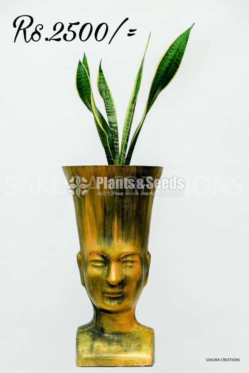 Hand painted indoor pots