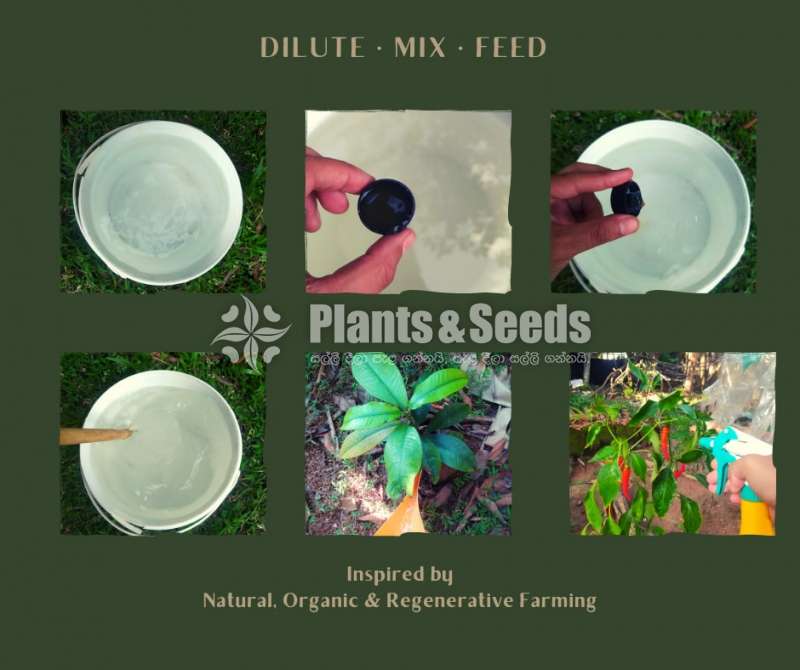 Plant Elixirs Fertilizer