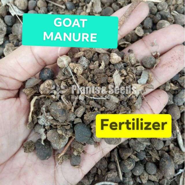 Goat Manure(Elu Phora)