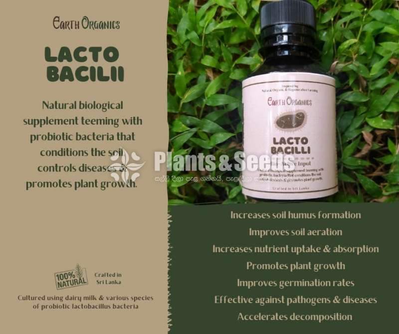 LactoBacilli (ශාකරෝගසඳහාප්‍රතිකාර කිරීමසඳහා)