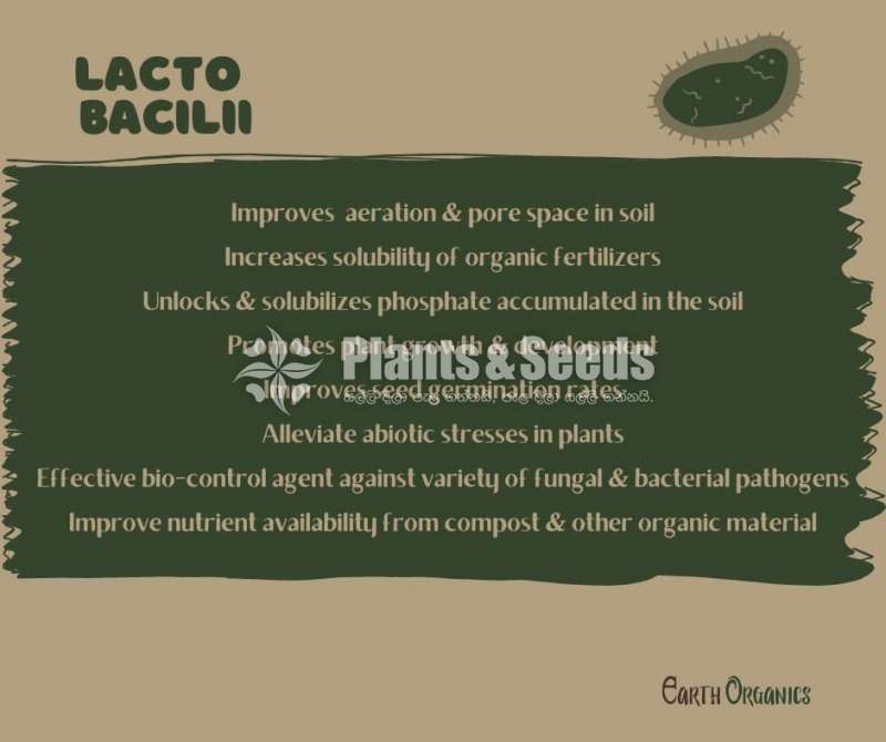 LactoBacilli (ශාකරෝගසඳහාප්‍රතිකාර කිරීමසඳහා)