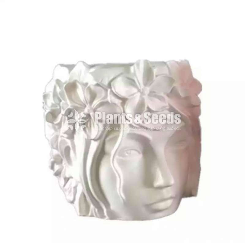 Mold face Cement Pots