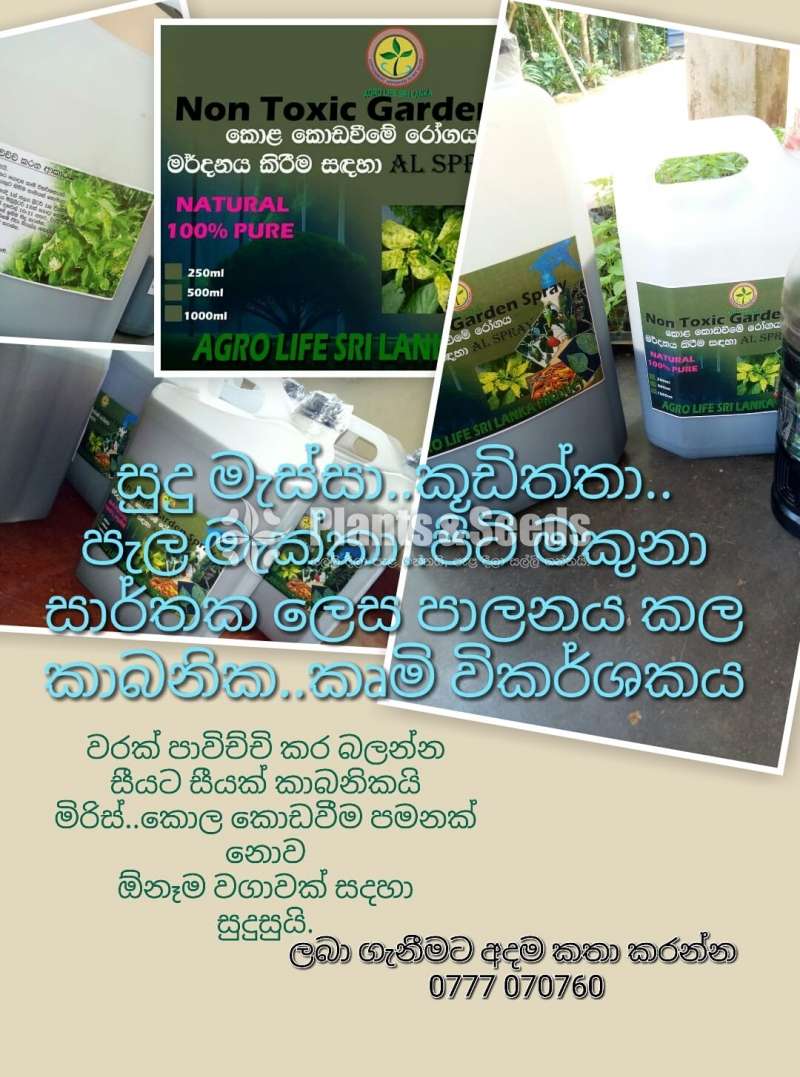  Organic Insect Reppler