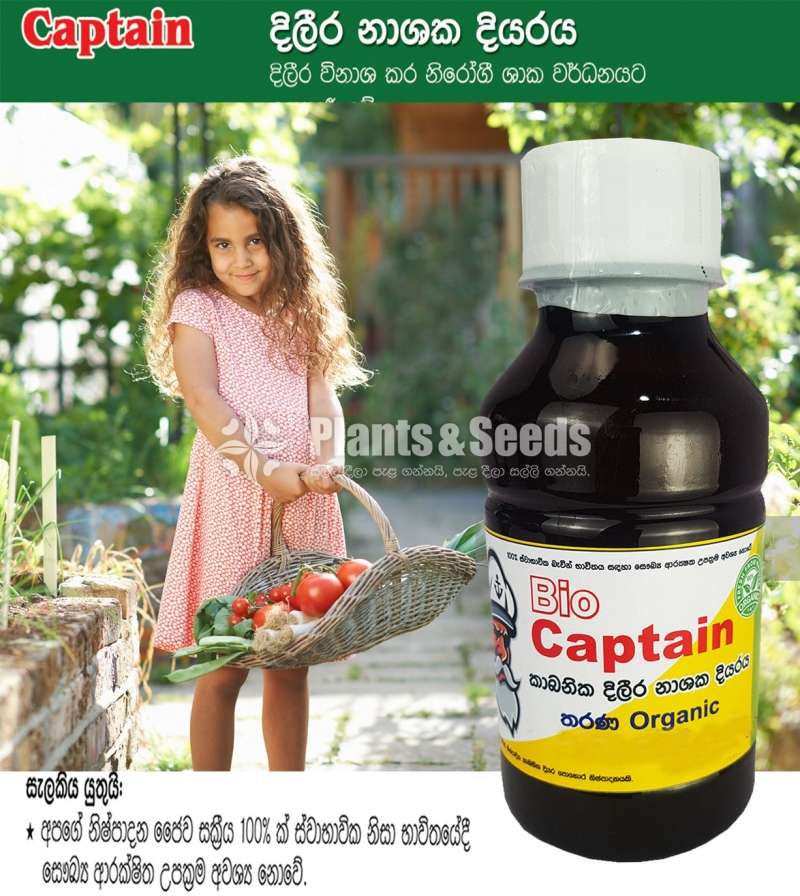 Fungus Destroyer(දිලීර නාශකය)