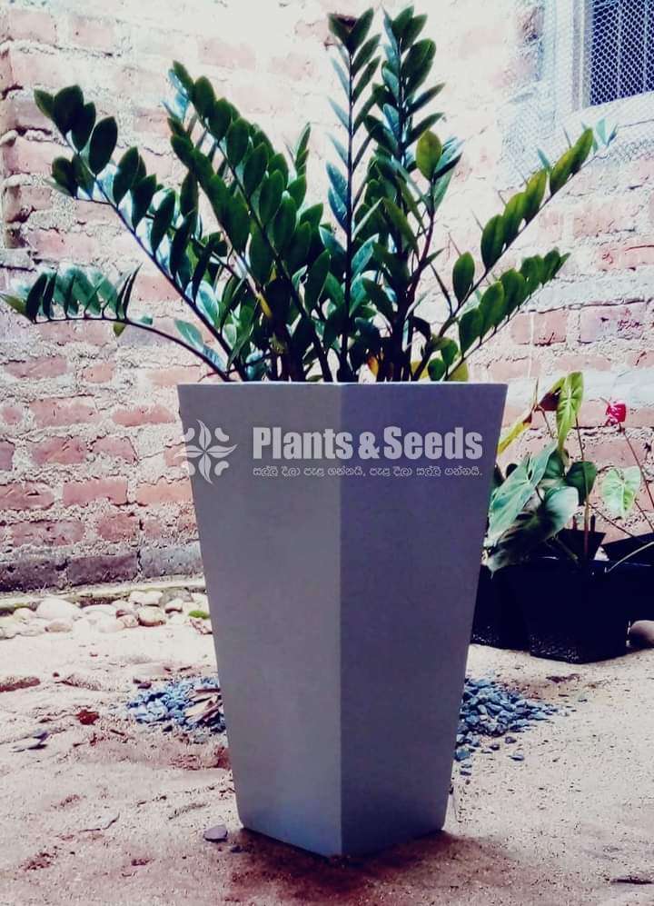 Titanium plated pots