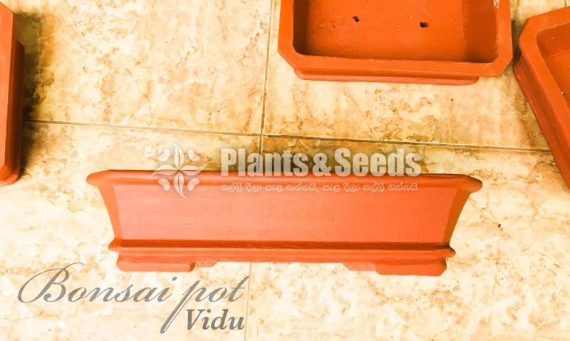 Bonsai Pots 