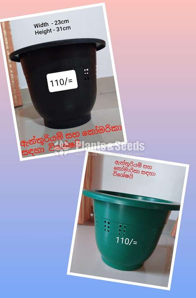 Plastic flower pots