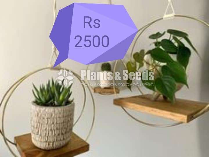 Plant Racks