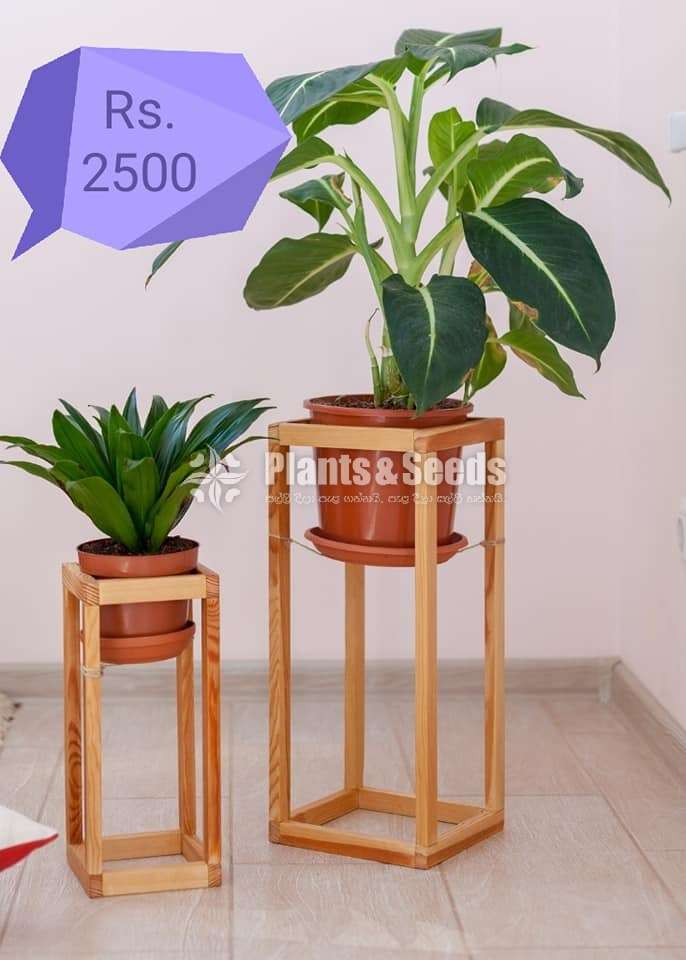 Plant Racks