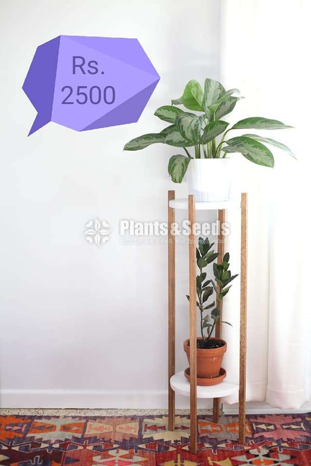 Plant Racks
