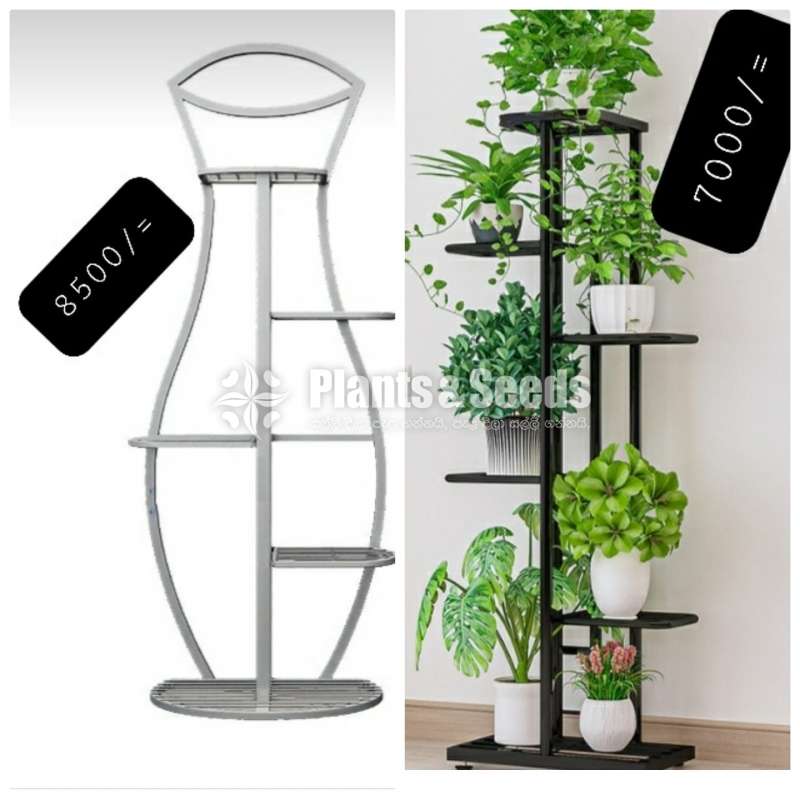 Plant Rack