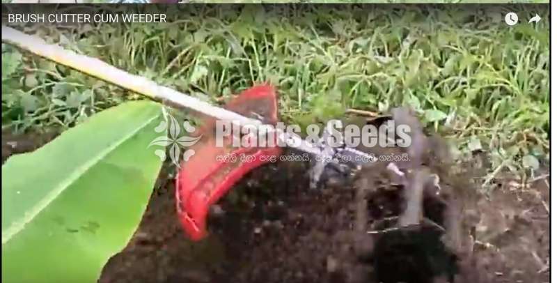 BRUSH CUTTER CUM WEEDER