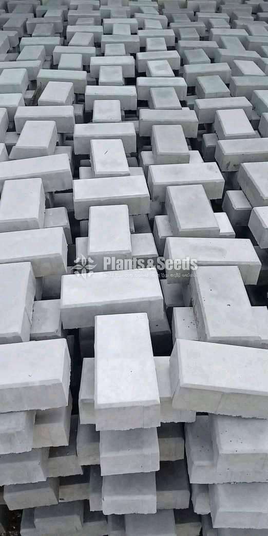 Interlock