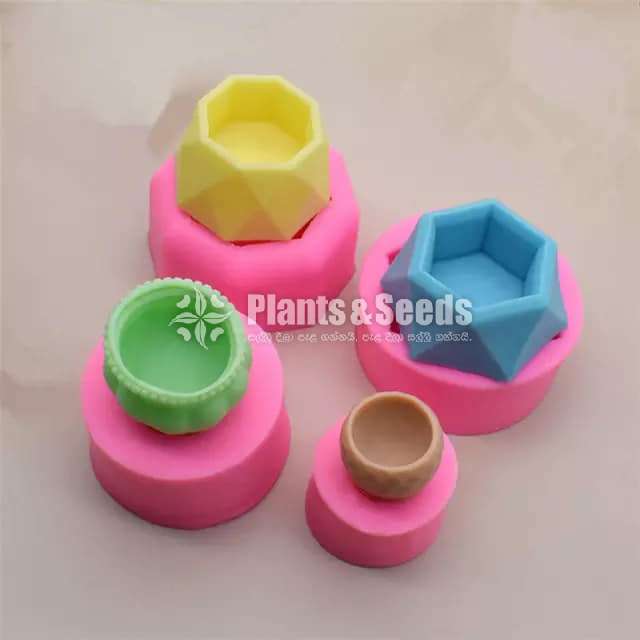 Silicon mold - Cactus pots