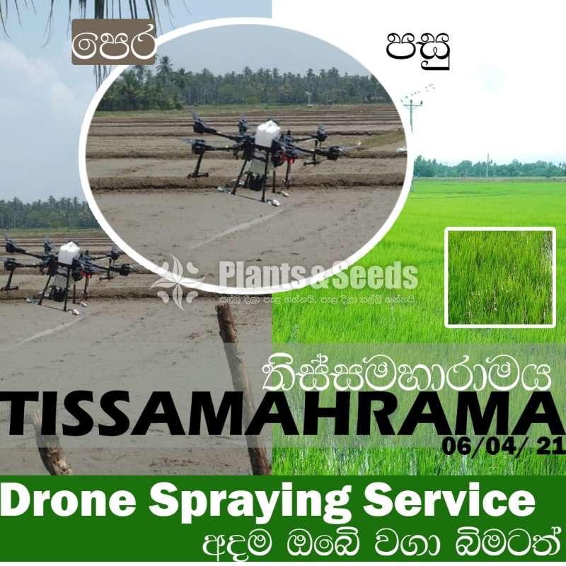 Drone Spraying System 