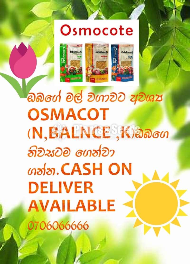 Osmocote