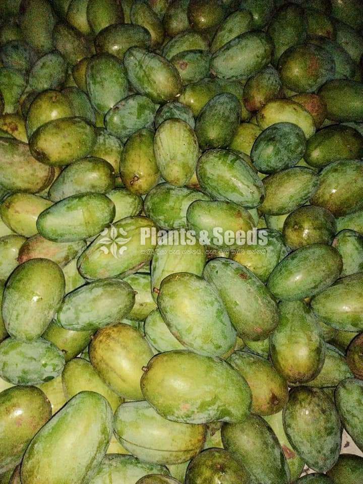 Karathakobban (කර්තකොල්ලබ්බන් )