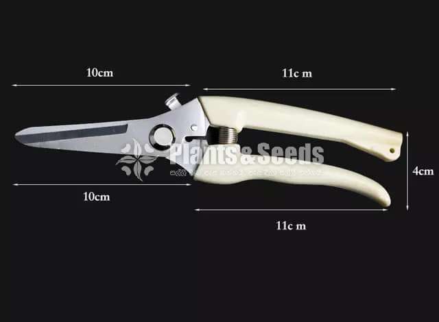 Bonsai scissors 