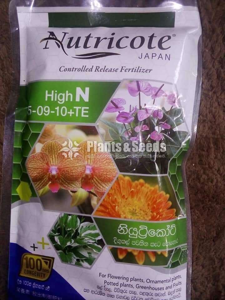 Nutricote for Anthurium and Orchids