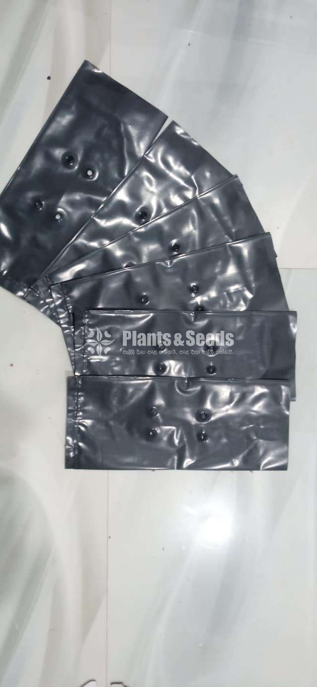 Plastic Covers