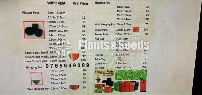 Plastic Pots for  Whole Sale 