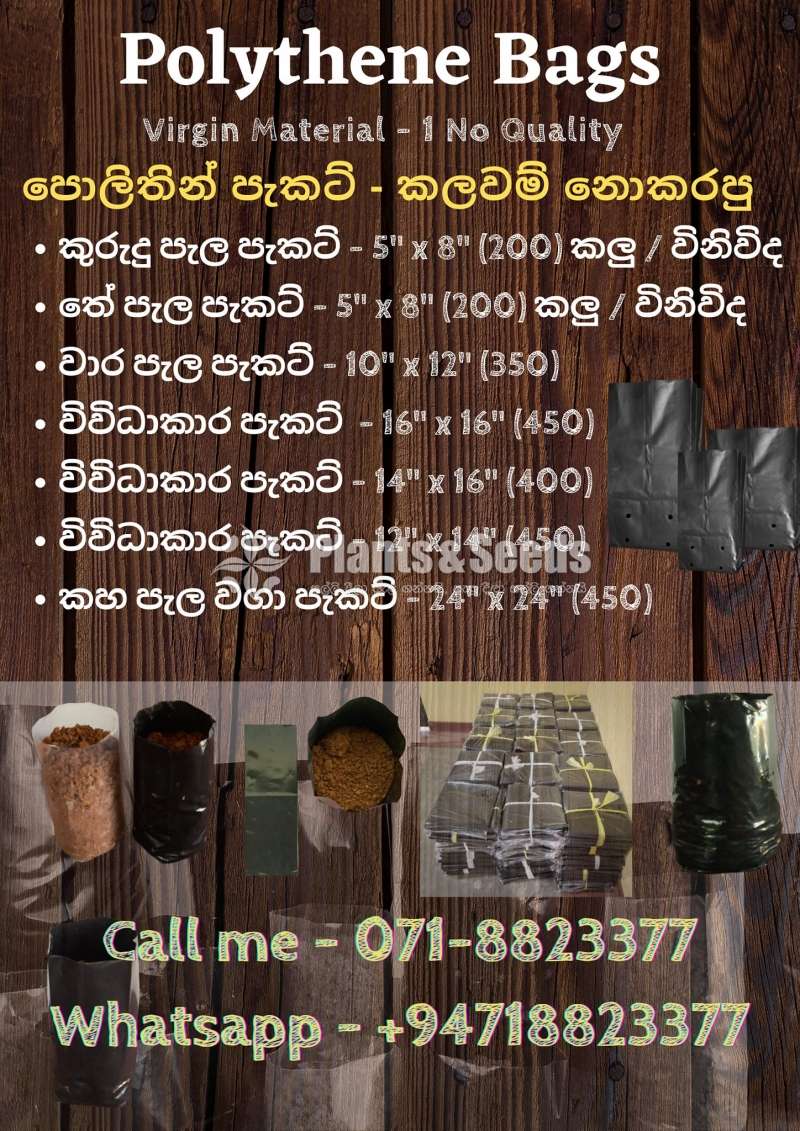 Polythene (පොලිතින් පැකට්/බදුන් )