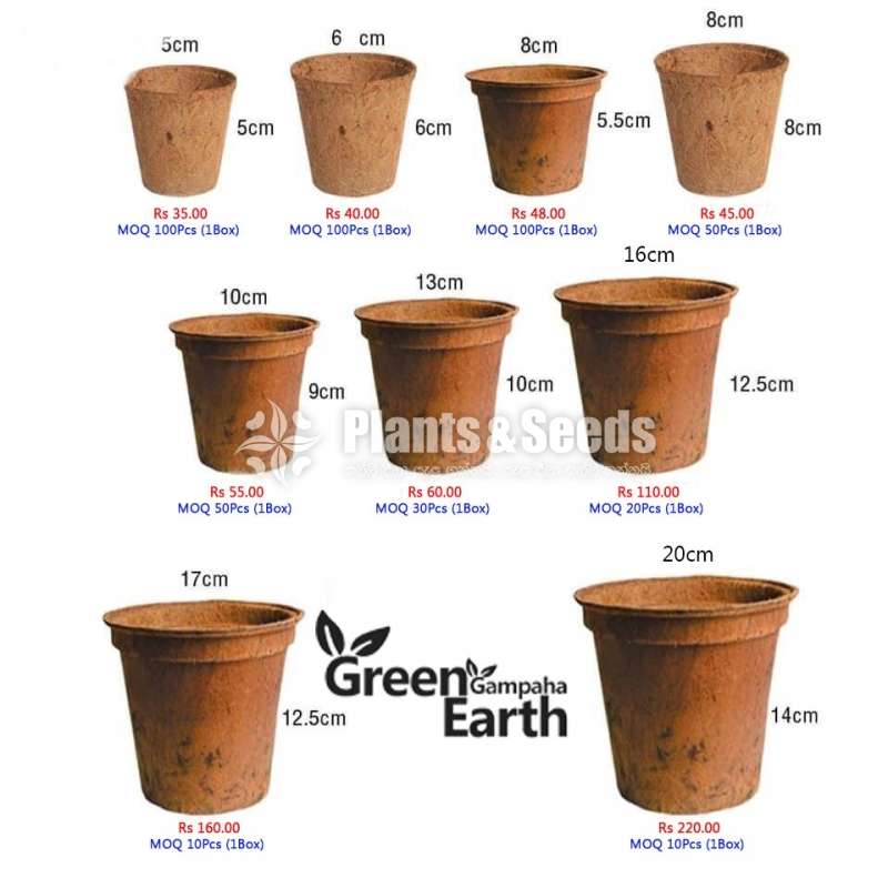 Coir containers(කොහු බඳුන් )