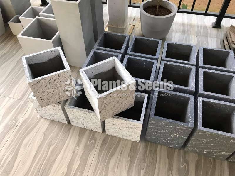 Cement Pots