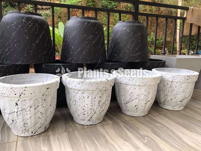 Cement Pots