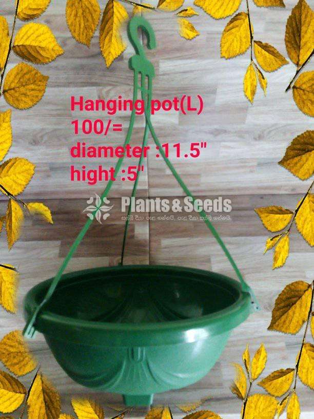Hanging Pots Collection