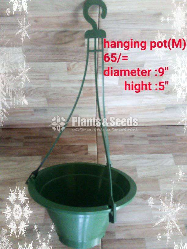Hanging Pots Collection