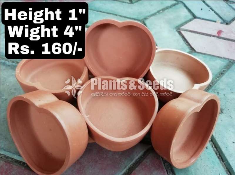 Clay Pots