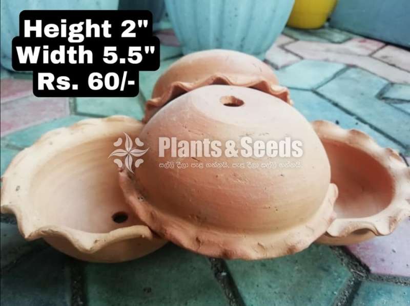 Clay Pots