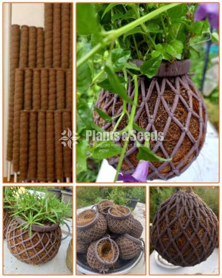 Flower Pots
