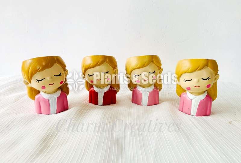 Dollies Pots