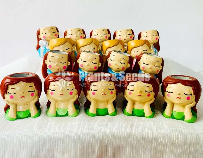 Dollies Pots