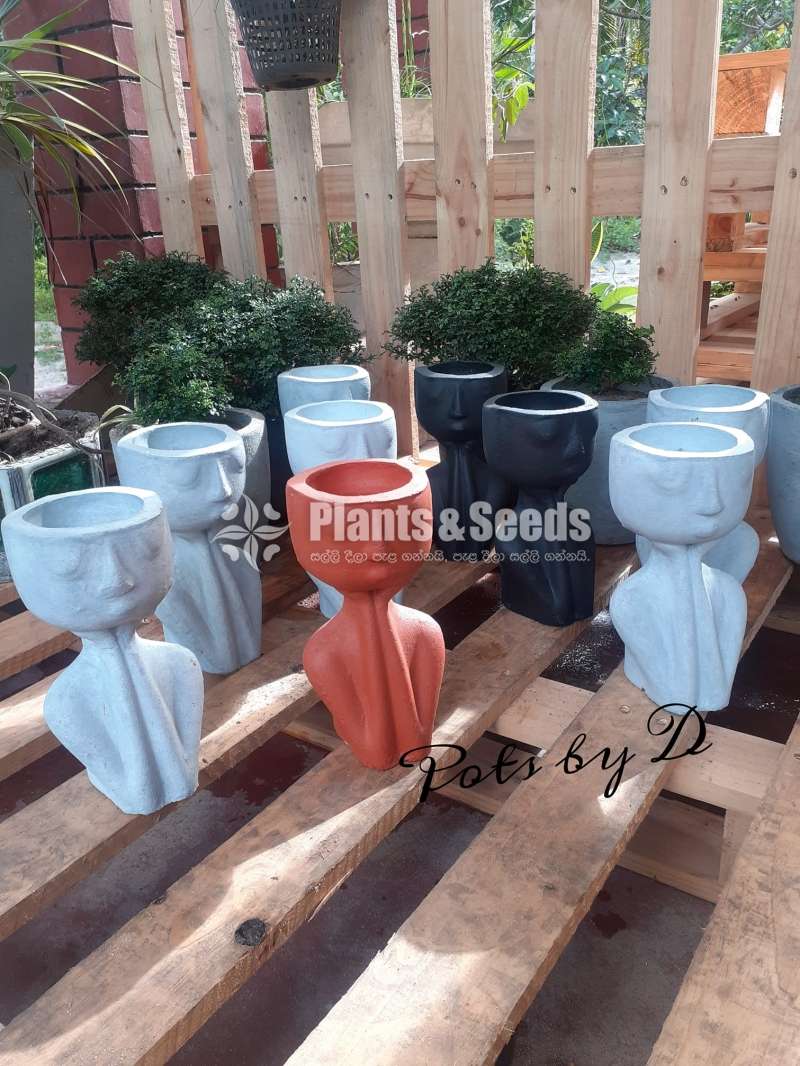 Decorative Pots (Face Pots)