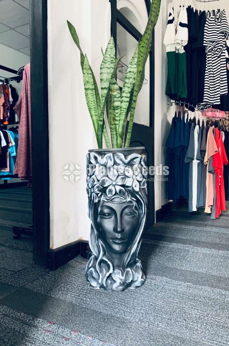Queen face pot