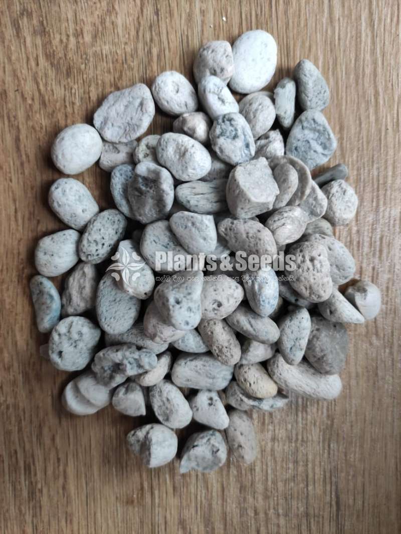Pumice Lava Stone Fertilizer