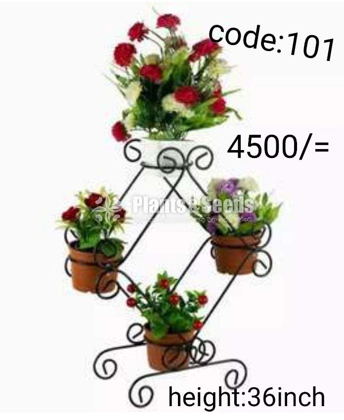 Plant Racks